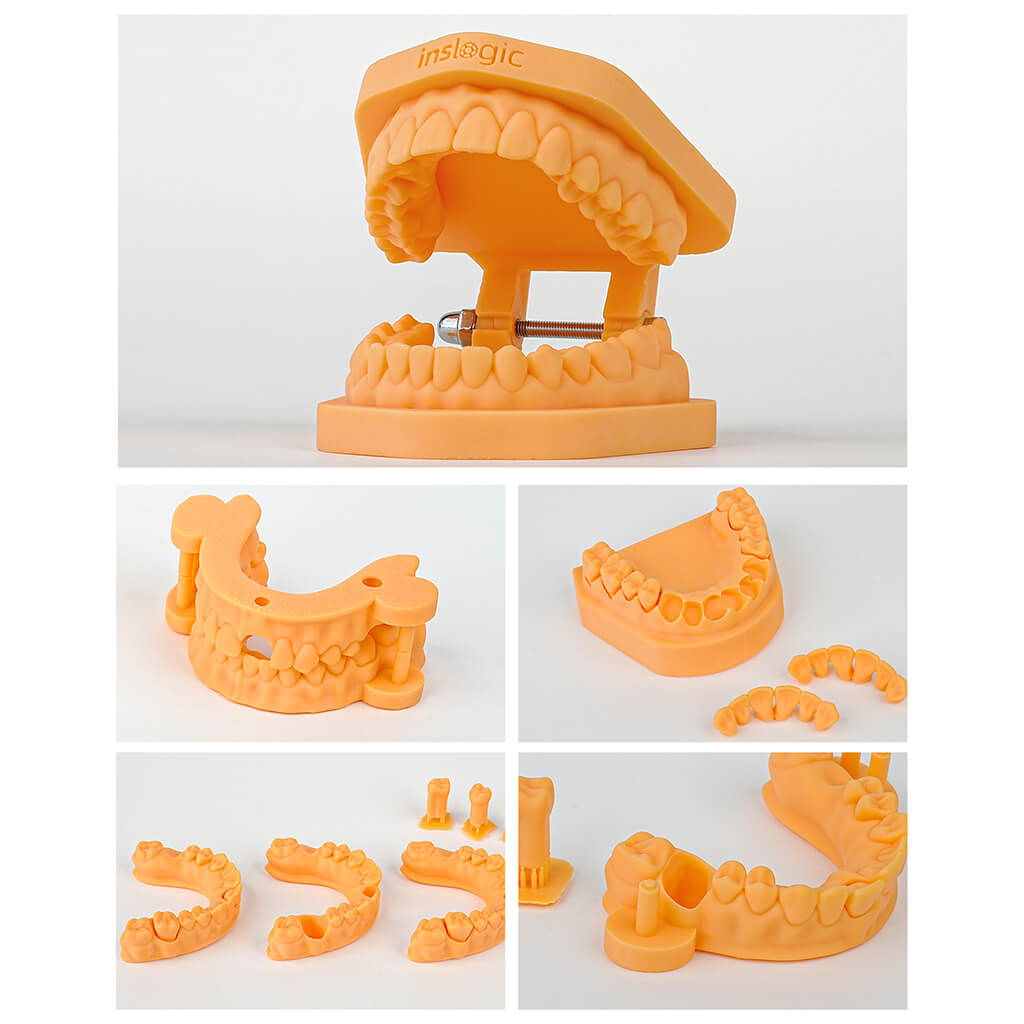Printed with Inslogic Dental Implant Model Resin
