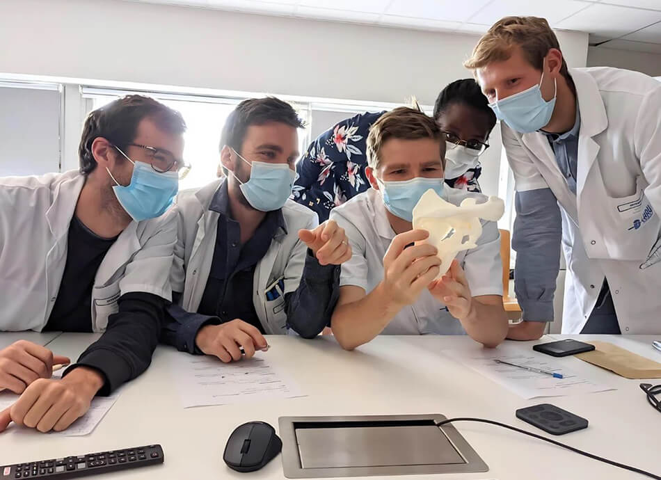 3D Printed Anatomy Models: Applications, Benefits, and Case Studies