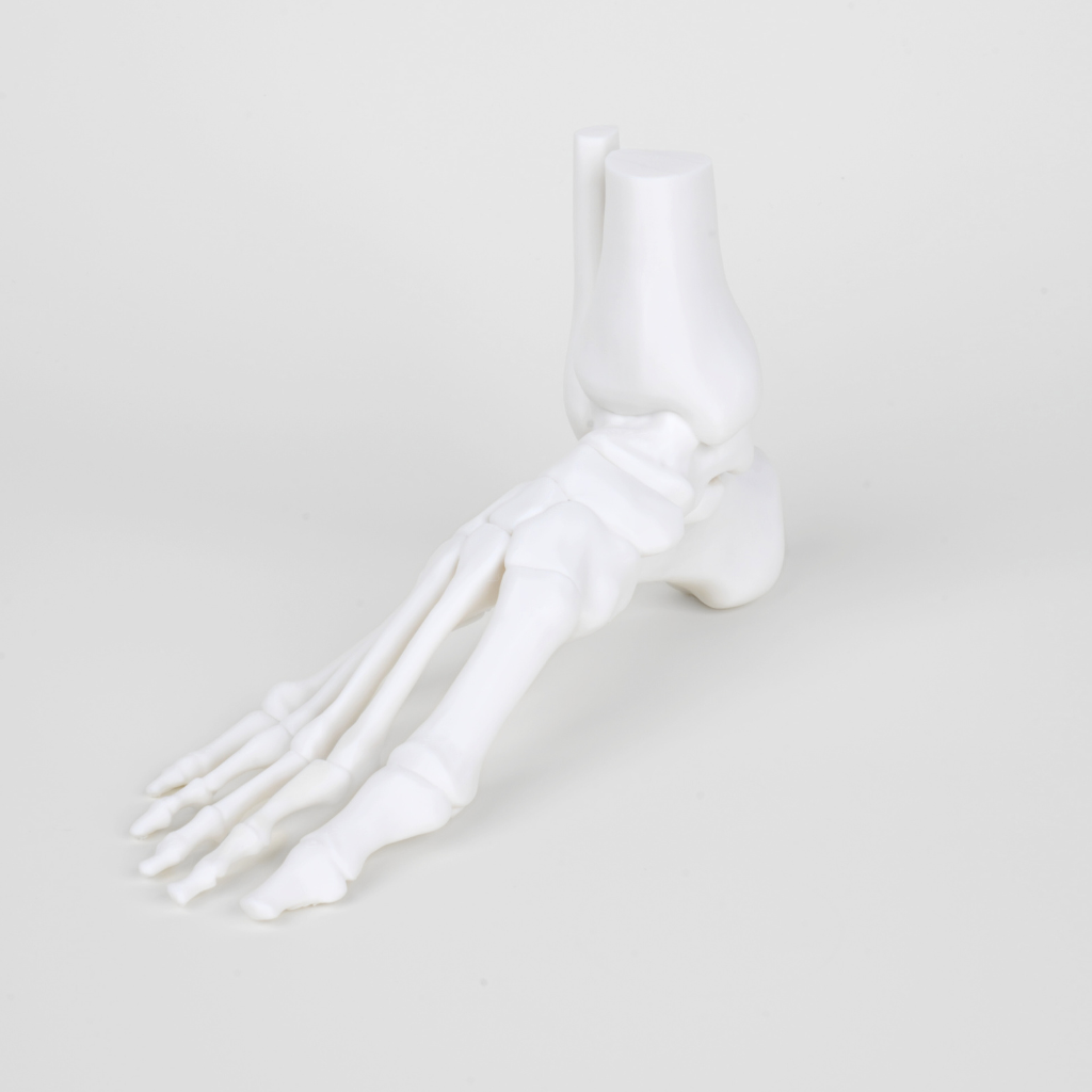 Human foot - Inslogic Matte PLA Filament