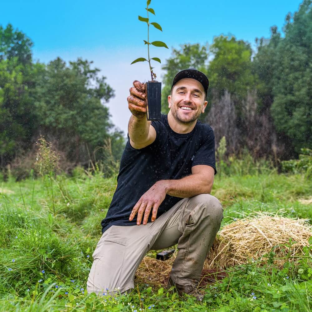 Restoration and Conservation of Forests Worldwide